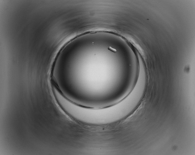 X0000103311189200808291421