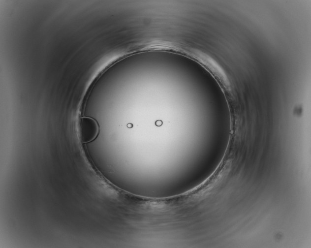 X0000103311190200808291421