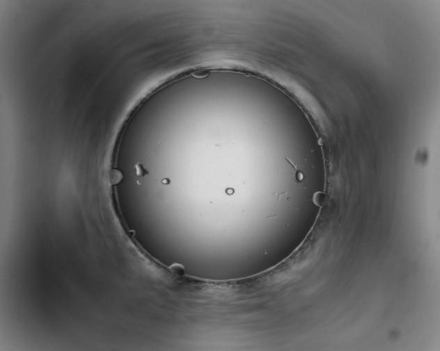 X0000103311191200808291421