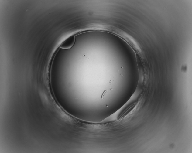 X0000103311192200808291421