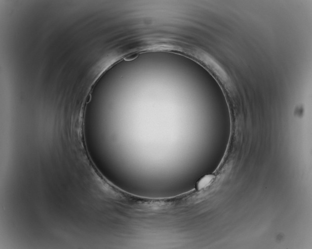 X0000103311193200808291421