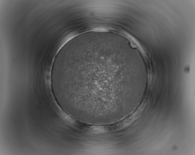 X0000103311194200808291421