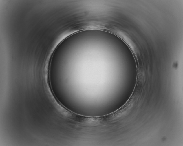 X0000103311195200808291421