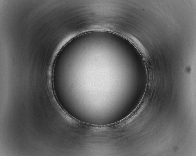 X0000103311196200808291421