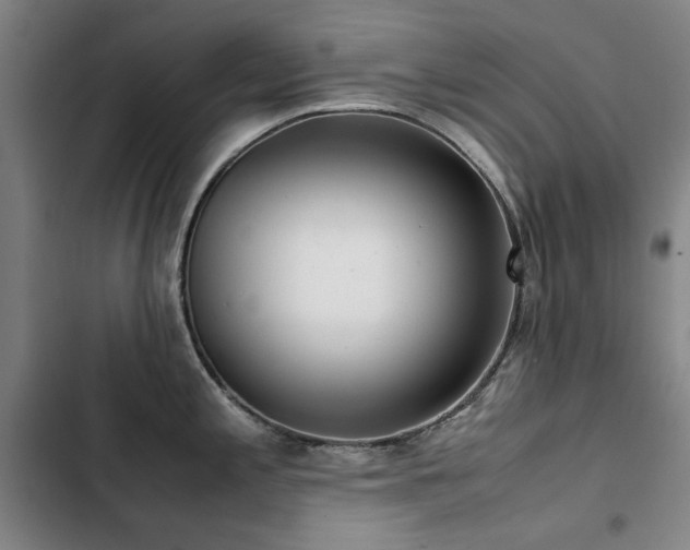 X0000103311197200808291421