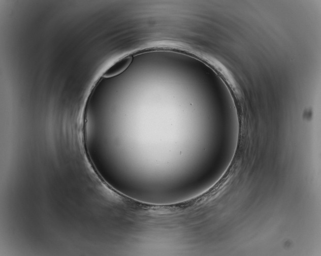 X0000103311199200808291421