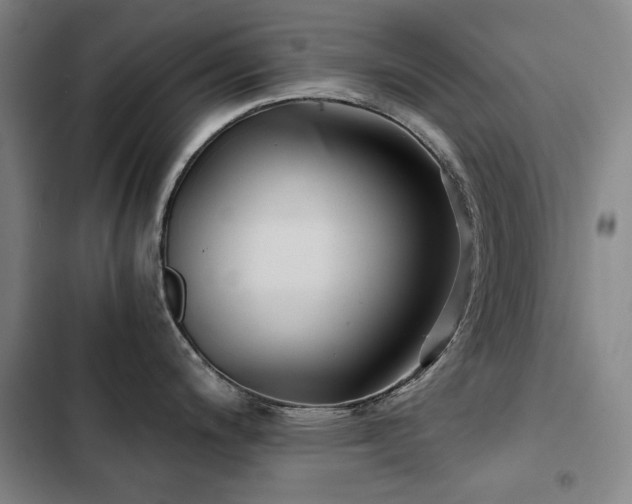 X0000103311200200808291421