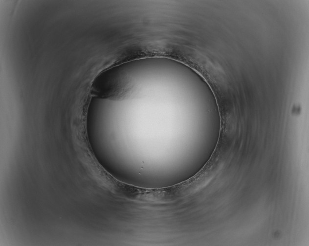 X0000103311201200808291420