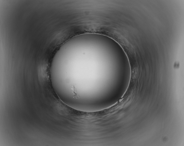 X0000103311202200808291420