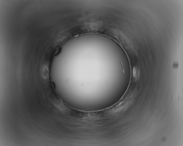 X0000103311203200808291421
