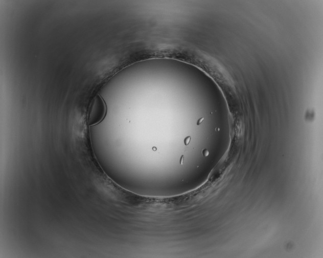 X0000103311204200808291421