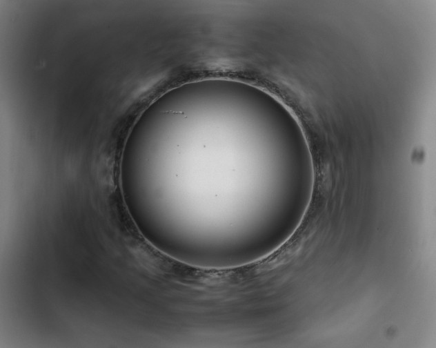 X0000103311205200808291421