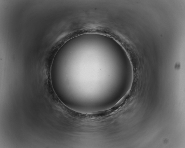 X0000103311206200808291421