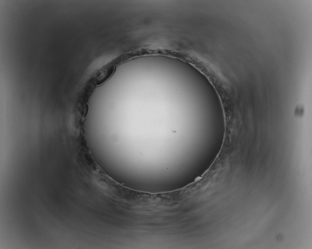 X0000103311207200808291421