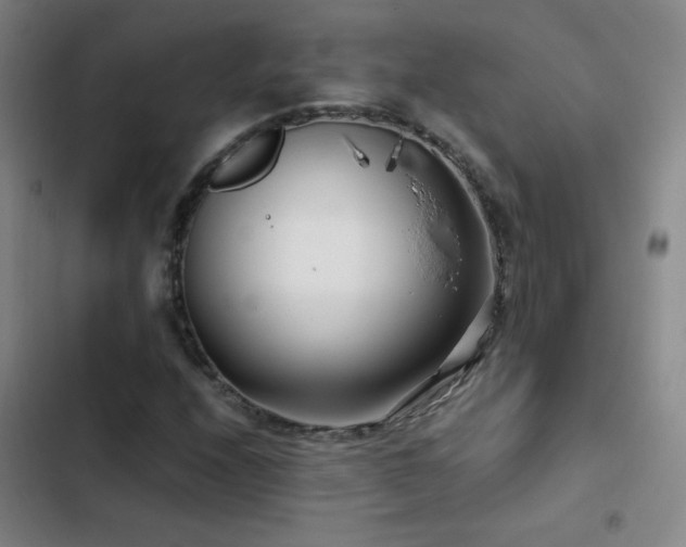 X0000103311208200808291421