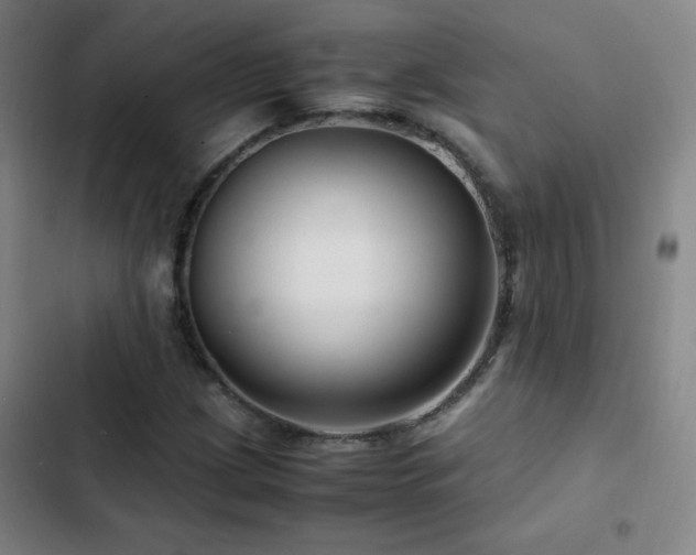 X0000103311209200808291421