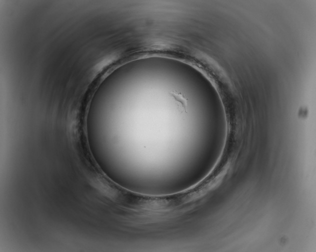 X0000103311210200808291421