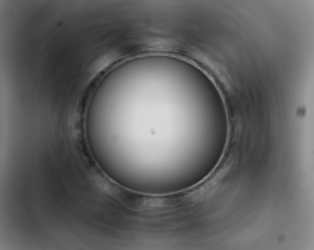 X0000103311211200808291421