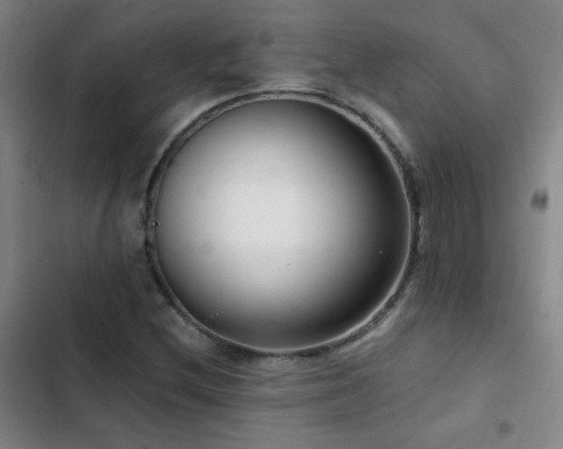 X0000103311212200808291421