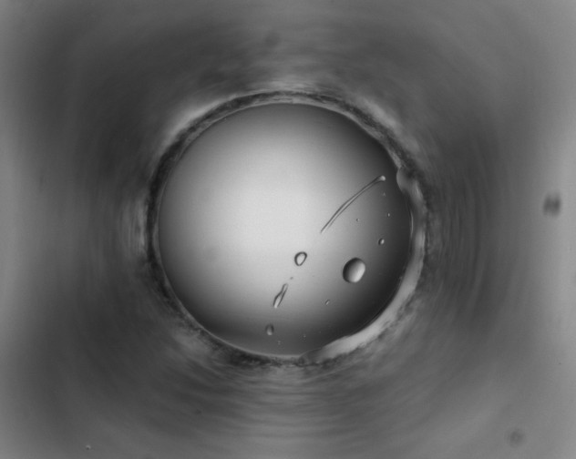 X0000103311214200808291421
