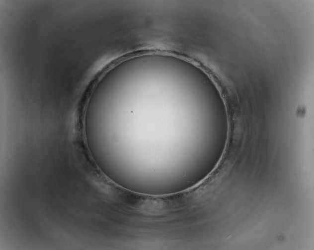 X0000103311215200808291421