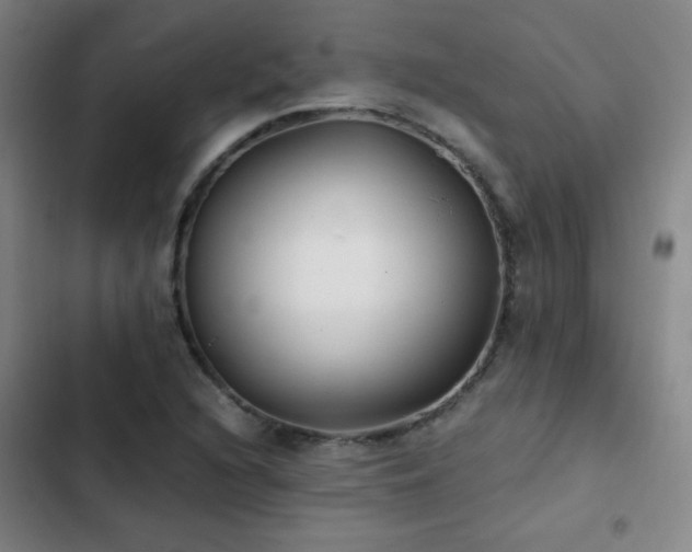 X0000103311216200808291421