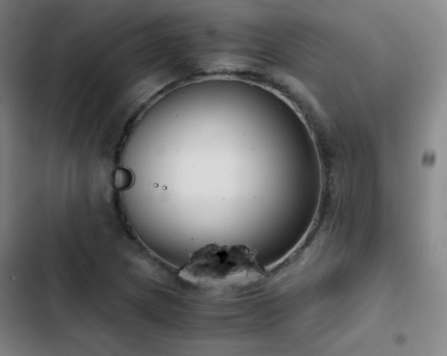 X0000103311217200808291421