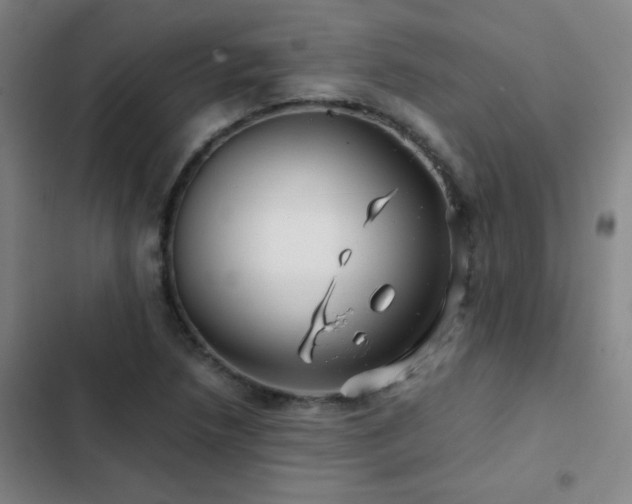 X0000103311218200808291421