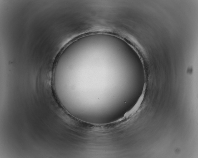 X0000103311220200808291421