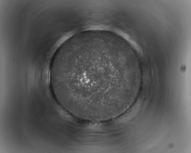 X0000103311221200808291421