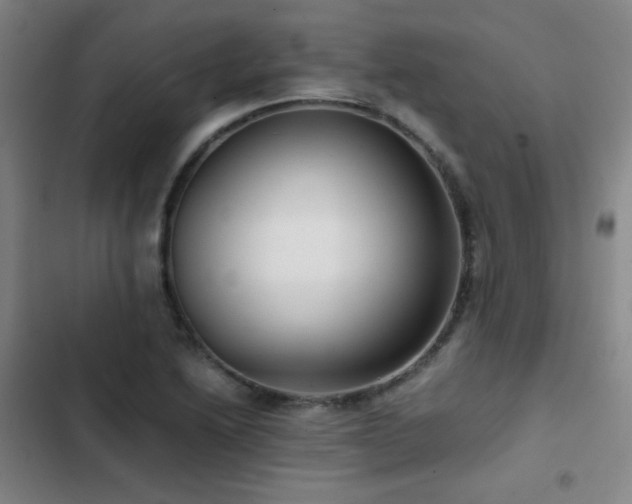 X0000103311222200808291421