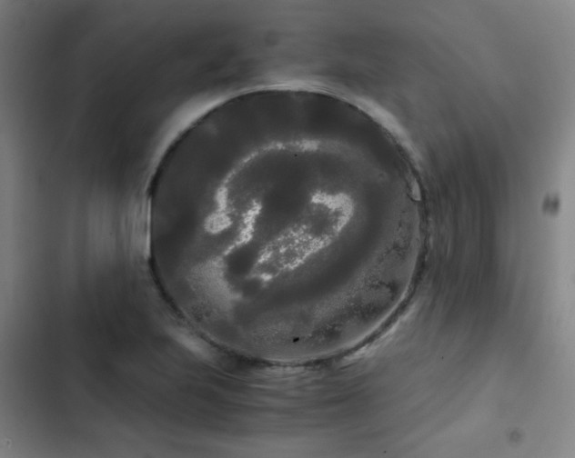X0000103311223200808291421
