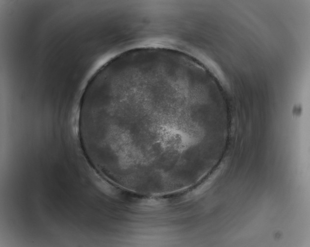 X0000103311224200808291421