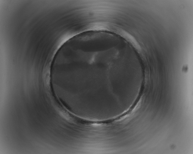 X0000103311226200808291421