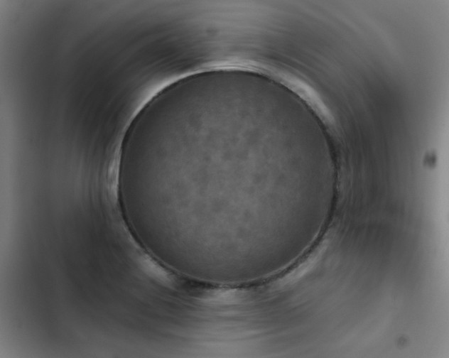 X0000103311228200808291421