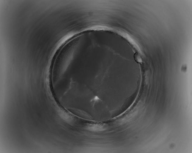 X0000103311229200808291421