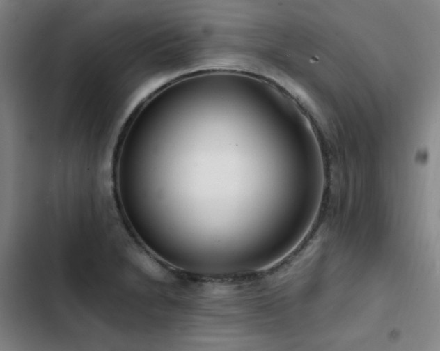X0000103311230200808291421