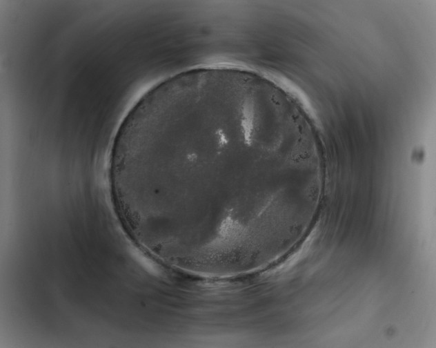 X0000103311231200808291421