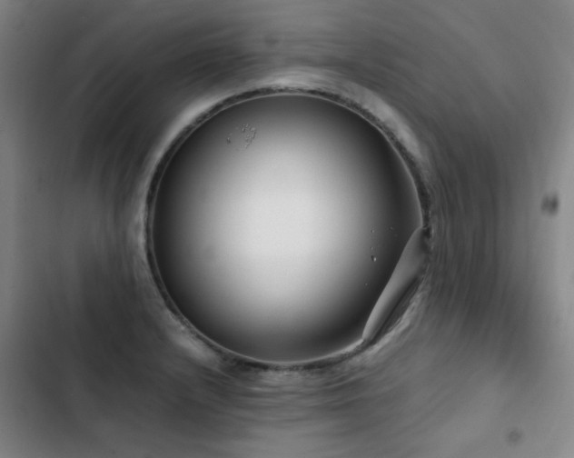 X0000103311232200808291421