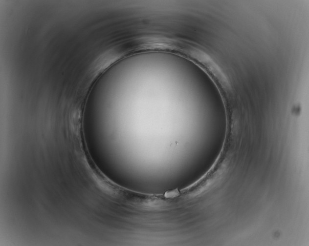 X0000103311233200808291421