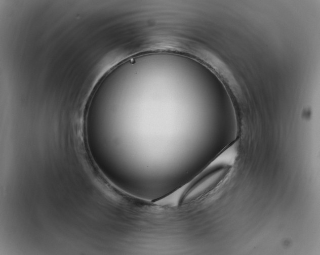 X0000103311234200808291421