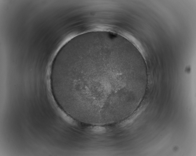 X0000103311235200808291421