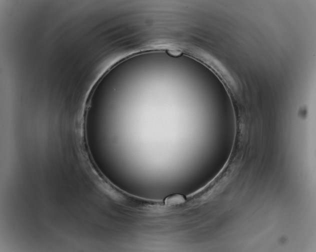 X0000103311236200808291421