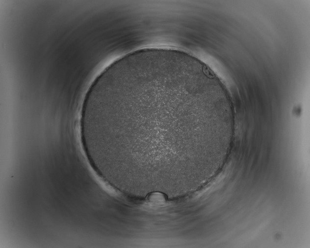 X0000103311237200808291421