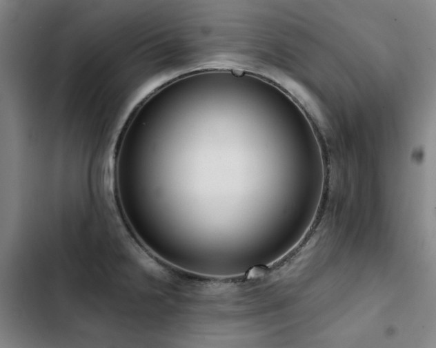 X0000103311238200808291421