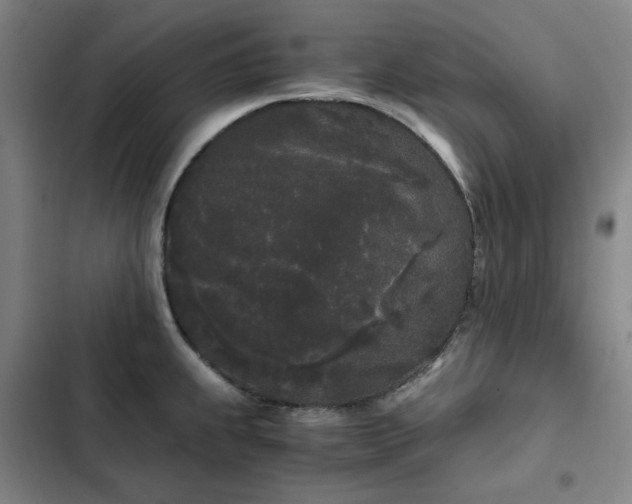 X0000103311239200808291421