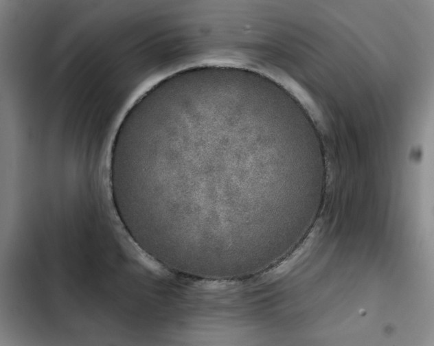 X0000103311240200808291421
