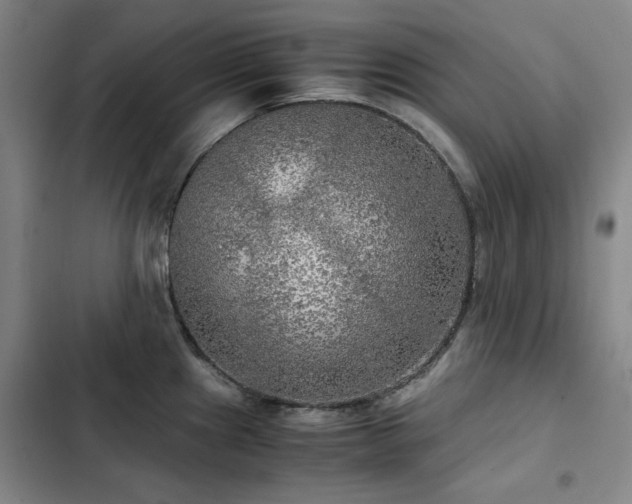 X0000103311241200808291421