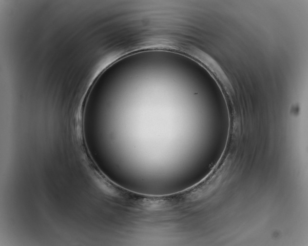 X0000103311242200808291421