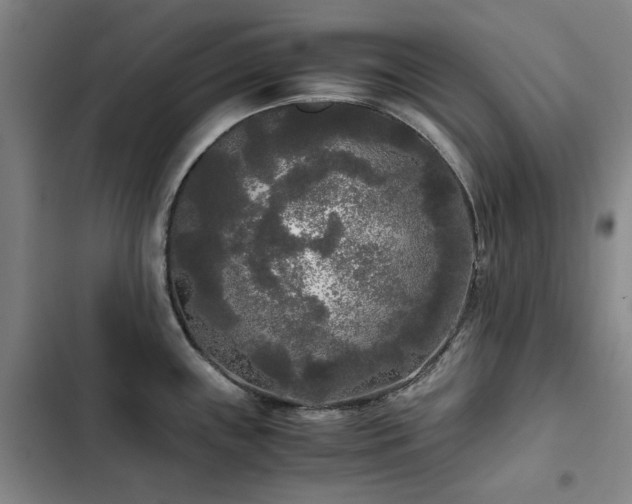 X0000103311243200808291421